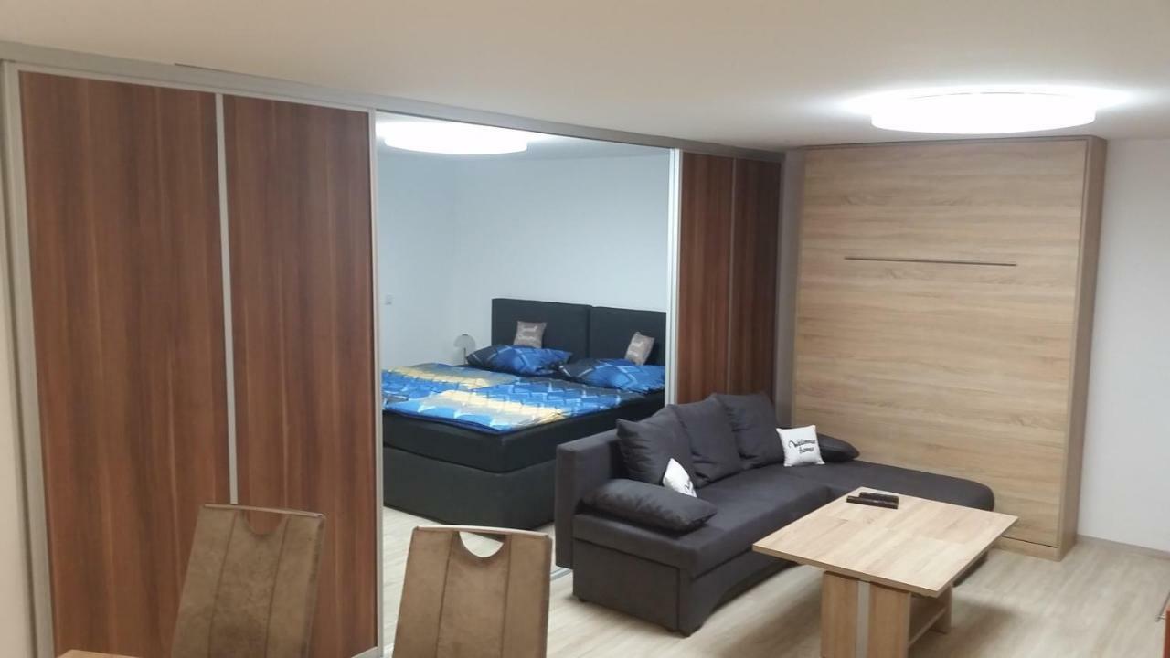 Ferienwohnung Sandra Hockenheim Εξωτερικό φωτογραφία